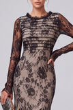 Floral Black Mermaid Ruched Lace Evening Dress with Long Sleeves