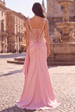 Mermaid Sheer Corset Pink Appliqued Thick Straps Satin Maxi Prom Dress